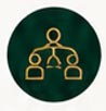 Build the leadership layer around the CEO