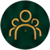 Interim Executives
